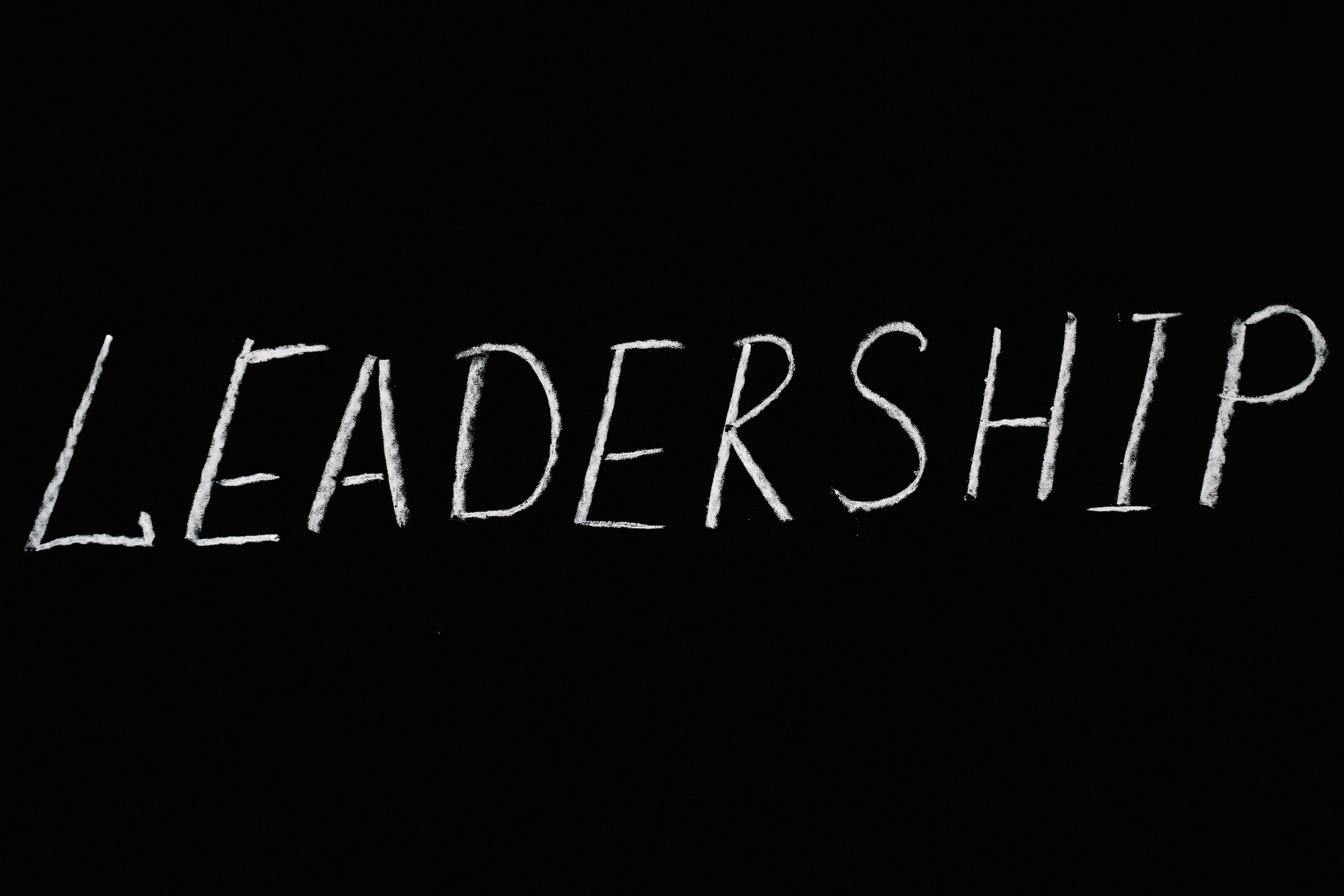 leadership icon
